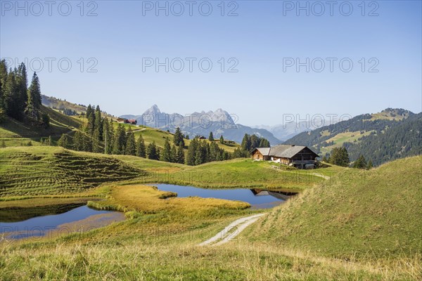 Alpine idyll with hut and ponds in a landscape surrounded by mountains under a clear sky, mountain