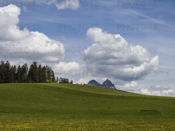 Meadow at the edge of a forest, cloudy mood over a mountain peak, near Bad Mitterndorf, Styria,