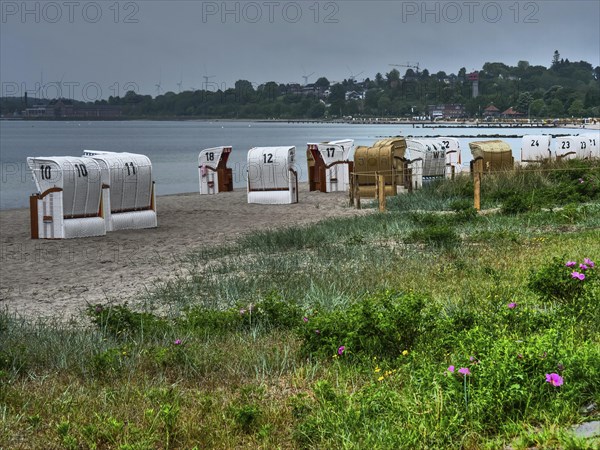Several beach chairs on a sandy beach line the coast. Cloudy sky and lush vegetation in the