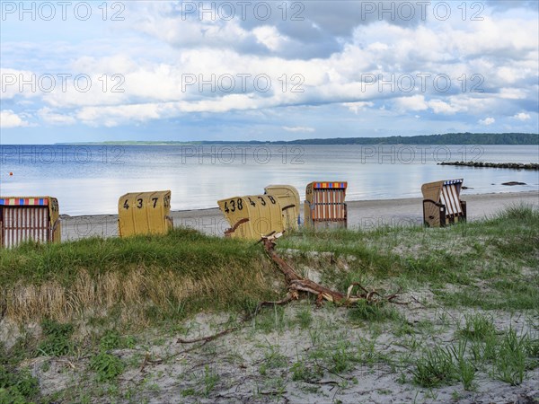 Several beach chairs on a sandy beach, driftwood in the foreground, calm sea and cloudy sky behind,