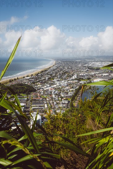 View from the viewpoint of Mount Manganui with a view of the sea and the city. Taken in Tauranga,