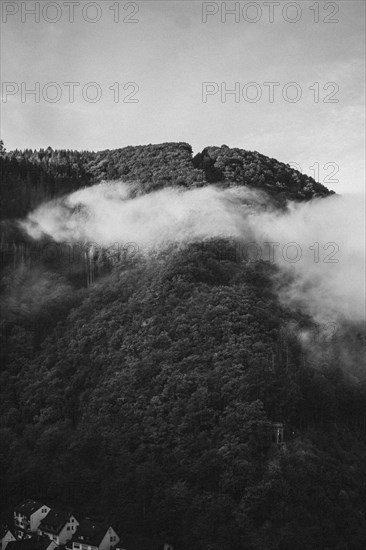 A mountain rises mysteriously out of the fog, surrounded by a dark forest. Brodenbach, Germany,