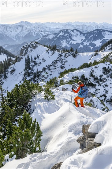 Hiker in winter climbing the Aiplspitz, Mangfall mountains, Bavarian Prealps, Bavaria, Tyrol,