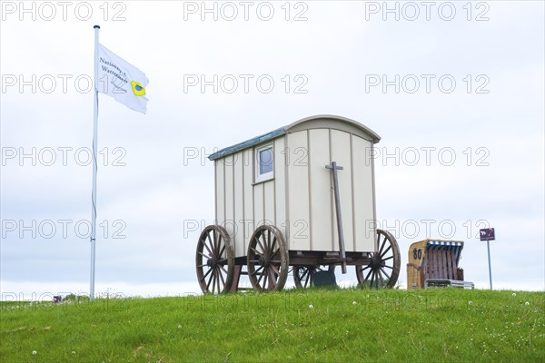 Old wooden cart, bathing cart with drawbar and large wooden wheels on a green meadow with a flag