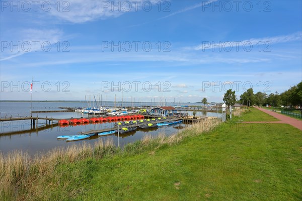 Sailing boats in the harbour, Lake Duemmer, nature reserve, reeds, shore, Huede, Lower Saxony,