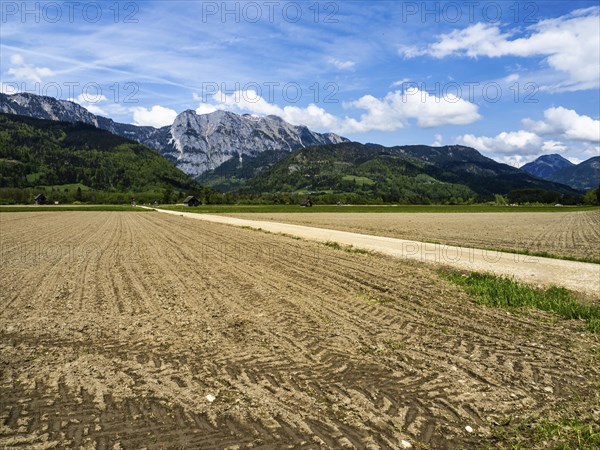 Field path leads through farmland, mountain range behind, near Woerschach, Ennstal, Styria,