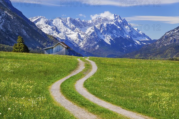 Mountain path through spring meadow with hay barn in front of Zugspitzgruppe 2962m in Wetterstein
