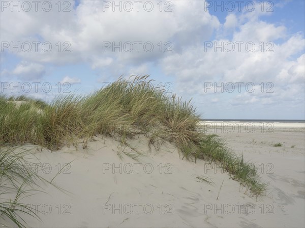 Close up view of sand dunes with tufts of grass under a cloudy sky, sand dune with dune grass on a