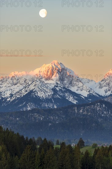 Allgaeu Alps, view from Hegratsrieder See, snow, dawn, moon, Allgaeu, Bavaria, Germany, Europe