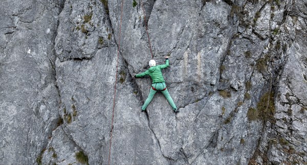 Sport climbing with rope, climber on a rock face, Frauenwasserl climbing garden, Ammergau Alps,