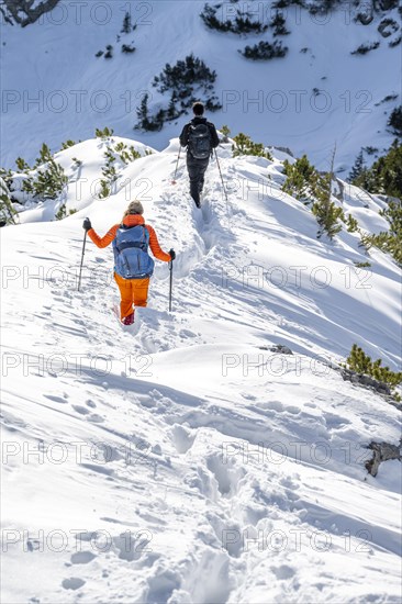 Hikers in winter descending the Aiplspitz, Mangfall mountains, Bavarian Prealps, Bavaria, Tyrol,