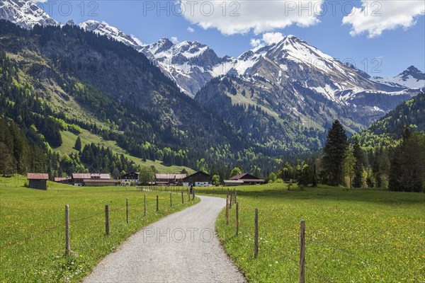Path in Stillachtal, behind mountains of the Allgaeu Alps, Birgsau, near Oberstdorf, Oberallgaeu,