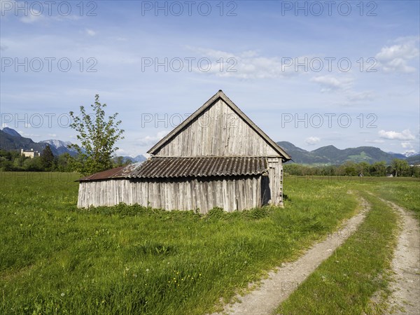 Hay barn in the evening light, behind Trautenfels Castle, near Irdning, Ennstal, Styria, Austria,