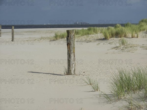 Sandy beach with wooden posts and grassy dunes under a partly cloudy sky, lonely beach with dune