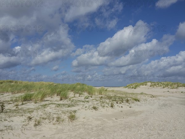 Wide sand dunes under blue sky and clouds, peaceful atmosphere, lonely beach with dune grass in the