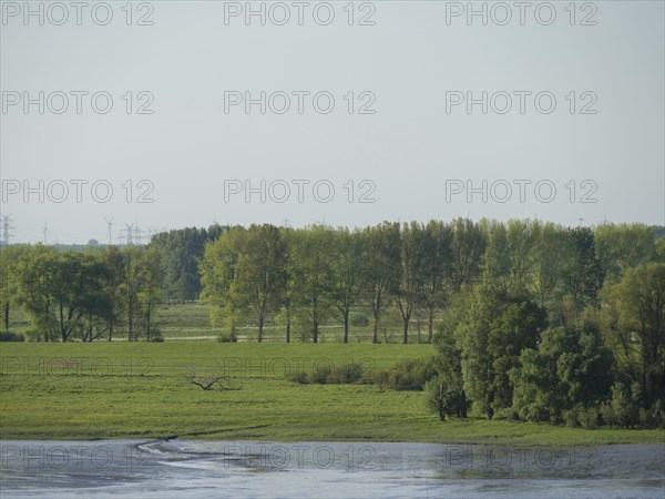 Wide green fields and densely wooded areas on the calmly flowing river banks under a clear sky,