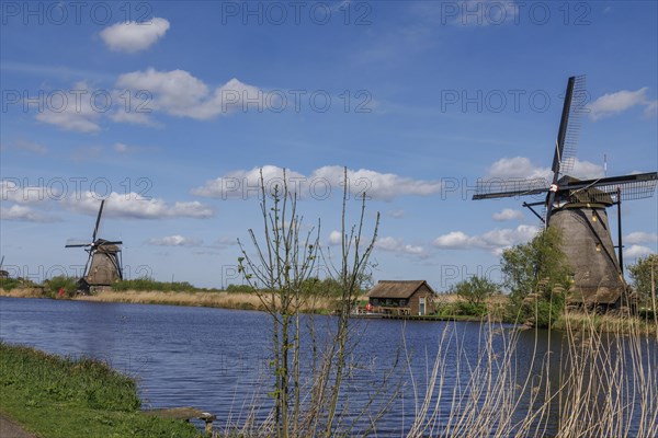 Several windmills next to a body of water and a path, surrounded by reeds under a cloudy sky, many