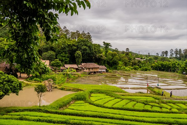 Landscape of Five Hill Tribes Village house and rice paddies with unidentified people working in
