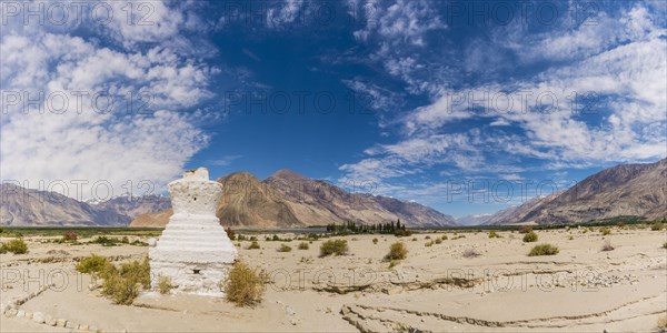 Tschoerten near Hunder, Nubra Valley, Ladakh, Jammu and Kashmir, Indian Himalayas, North India,