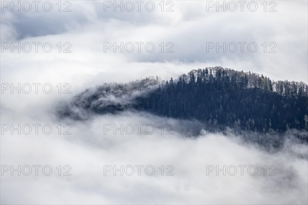 Wooded mountain looks out of cloud cover, view from Ettaler Manndl, high fog in the valley,