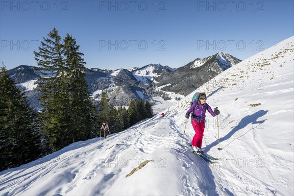 Ski tourer climbing the Aiplspitz, Mangfall mountains, Bavarian Prealps, Bavaria, Tyrol