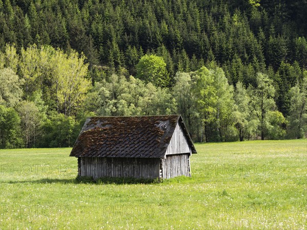 Hay barn in a meadow at the edge of a forest, near Irdning, Ennstal, Styria, Austria, Europe