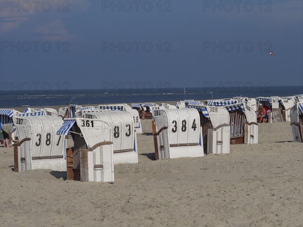Beach with several numbered beach chairs and sea in the background, dunes and beach at the sea with