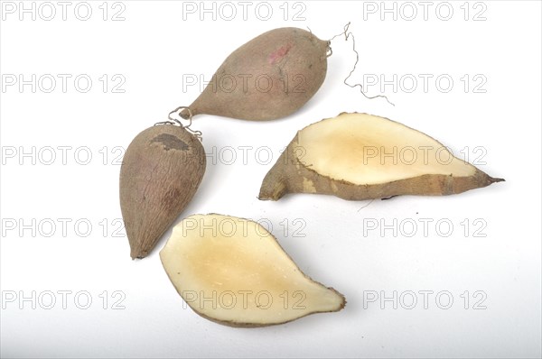 Yacon roots on a white background