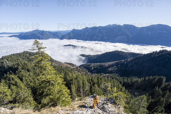 Mountaineer climbing the via ferrata to the rocky summit of the Ettaler Manndl, view over mountain