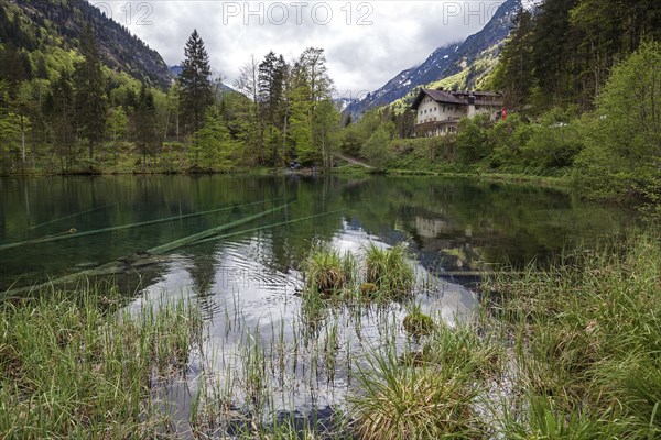 Christlessee, near Gottenried, Trettachtal, Oberstdorf, Oberallgaeu, Allgaeu, Bavaria, Germany,
