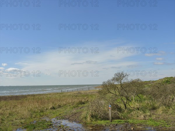 View of the sea and a meadow with shrubs and a cloudy sky, dune and beach by the sea with