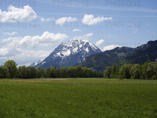 Meadow at the edge of the forest, Grimming, near Irdning, Ennstal, Styria, Austria, Europe