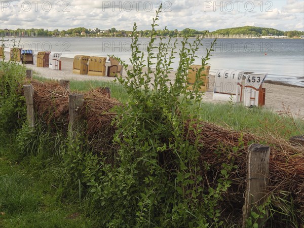 Green plants and wood in the foreground, followed by beach chairs and calm sea in the background,