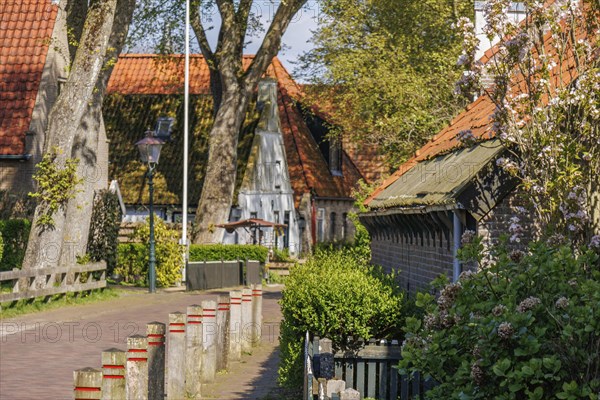 Idyllic village street with traditional houses, flowers and large trees, rustic atmosphere in