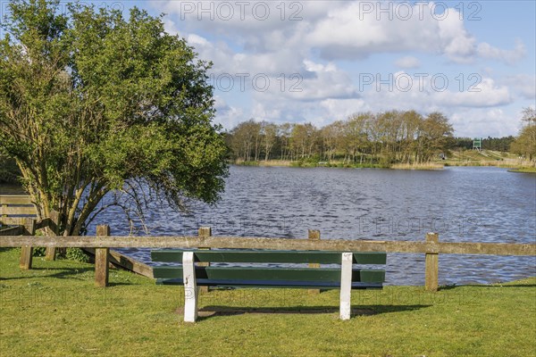 Park bench on the lakeshore with a view of the water and surrounding trees under a cloudy sky,