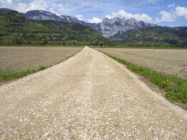 Field path leads through farmland, mountain range behind, near Woerschach, Ennstal, Styria,