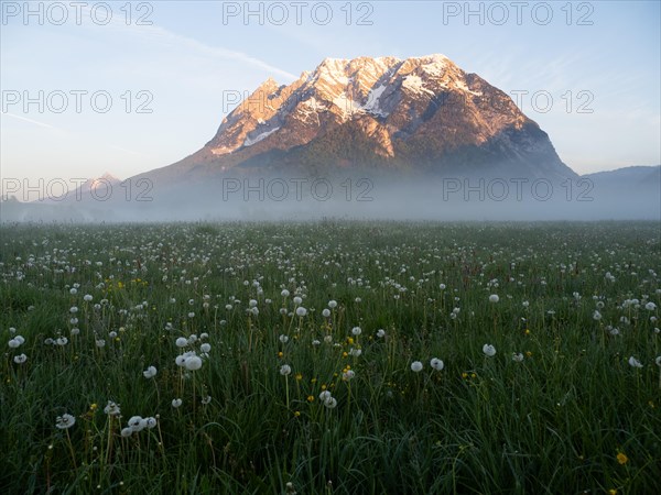 Morning light falls on a mountain peak, Grimming, early morning fog on the meadow, near Irdning,