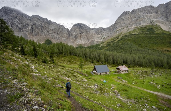 Mountaineer on a hiking trail near a mountain pasture, Obere Wolayer Alpe, Karnischer Hoehenweg,