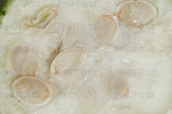Sponge cucumber or sponge pumpkin (Luffa aegyptiaca, Luffa cylindrica), sliced fruit