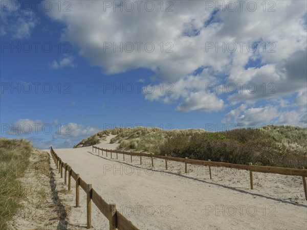 A sandy path leads through sunny dunes under a partly cloudy blue sky, dunes by the sea with clouds