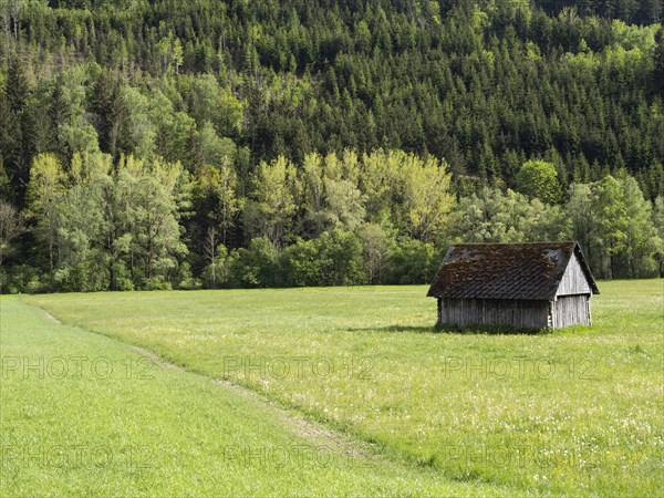 Hay barn in a meadow at the edge of a forest, near Irdning, Ennstal, Styria, Austria, Europe