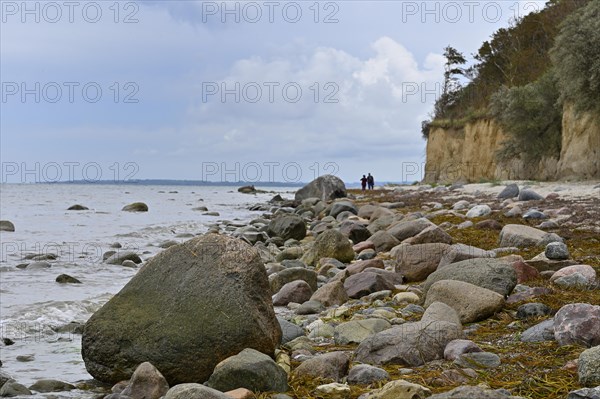 Natural beach with rocks on the steep coast of the island of Poel, Baltic Sea, Mecklenburg-Western