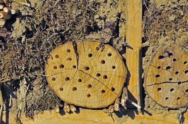 Nesting aid for wild bees and other insects with wooden logs, wild bee nesting aid, insect nesting