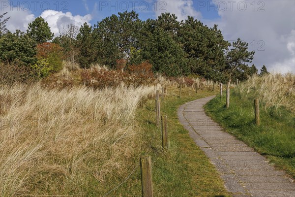 A path that leads through an autumnal landscape of fields and woods, under a partly cloudy sky,