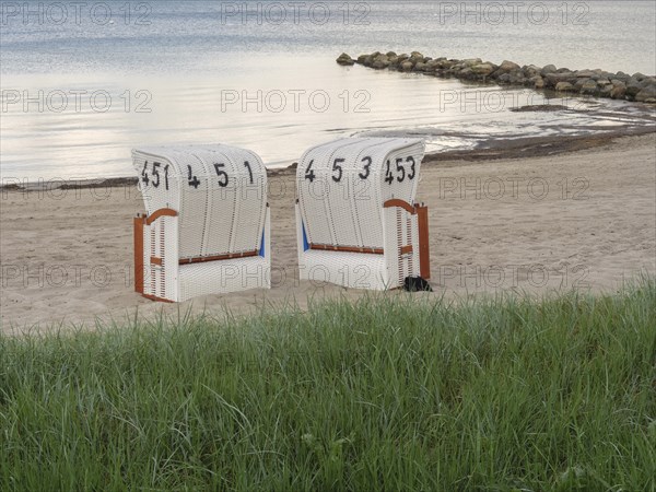 Two white beach chairs in front of a green meadow, sandy beach and calm sea in the background,