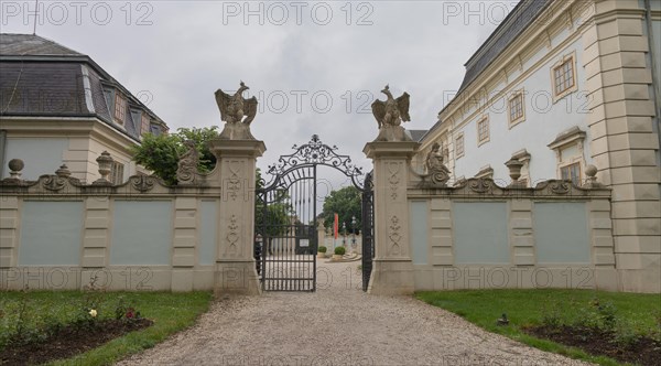 Halbturn Castle, Halbturn, castle park, avenue, Austria, Europe
