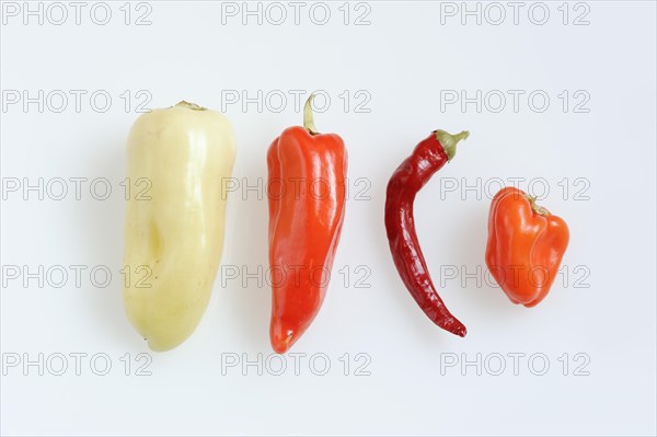 Paprika (Capsicum annuum) and chilli (Capsicum frutescens) on a white background, pepper, pepper,