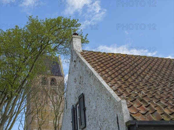 An old house with a red tiled roof next to a large tree and a church under a sunny blue sky,