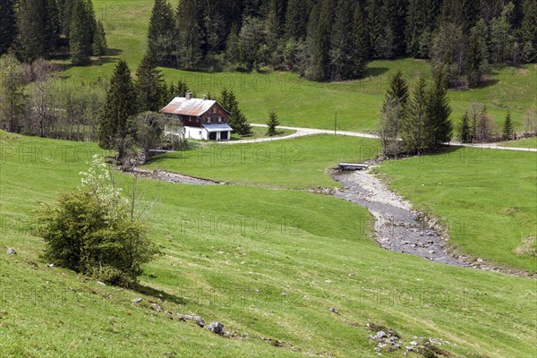 Farmhouse in Rohrmoos, Rohrmoostal, Oberallgaeu, Allgaeu, Bavaria, Germany, Europe