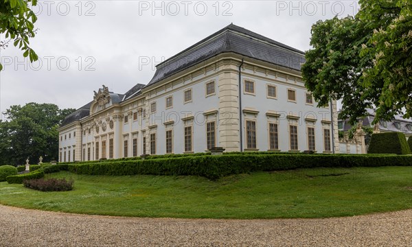 Halbturn Castle, Halbturn, castle park, avenue, Austria, Europe
